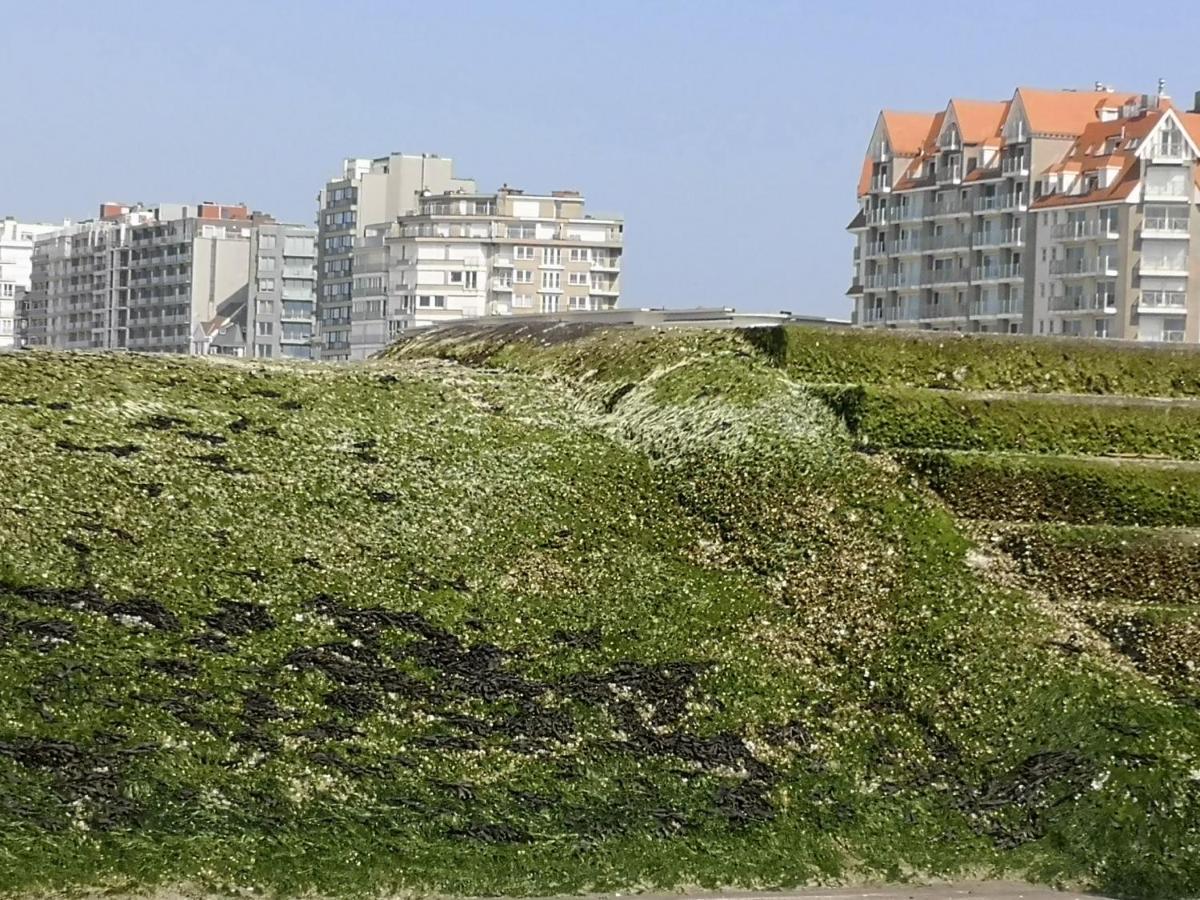Westeinders Sea View Миделкерк Экстерьер фото