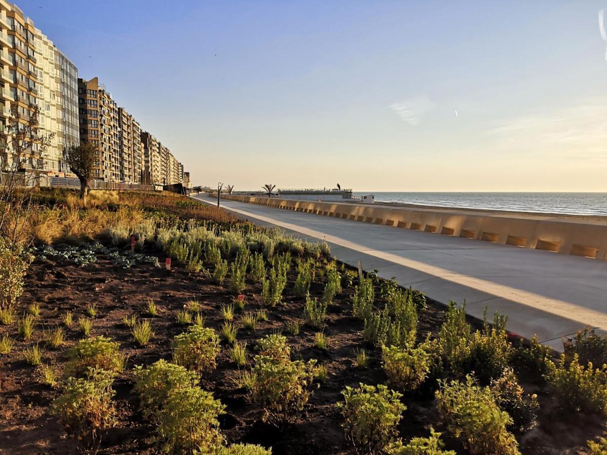 Westeinders Sea View Миделкерк Экстерьер фото